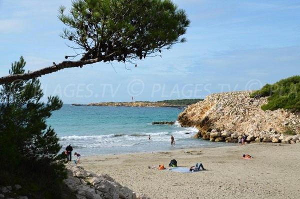 Ferienwohnung Sous Le Soleil Des Alpilles Mouries Exterior foto